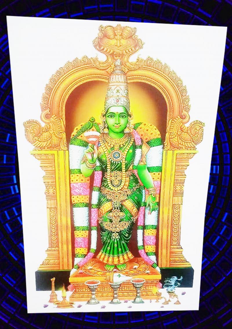 Madan Cards and Arts - Sivakasi